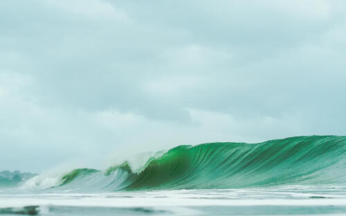 Cieneguita - Roberto Castro